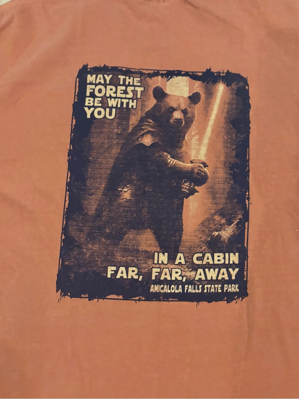 Graphic T Rust-Orange Crewneck Graphic Tee with Laid-Back Tag